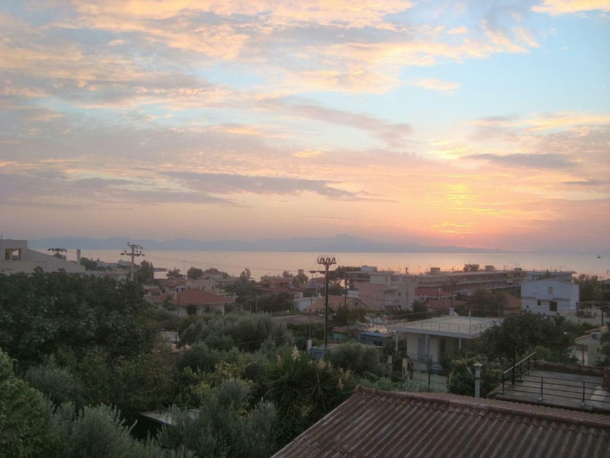 アルテミダ Smile House Near Athens Airport 300M From The Seaヴィラ エクステリア 写真
