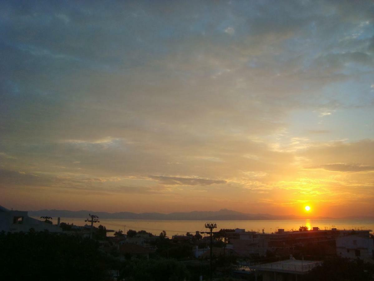 アルテミダ Smile House Near Athens Airport 300M From The Seaヴィラ エクステリア 写真
