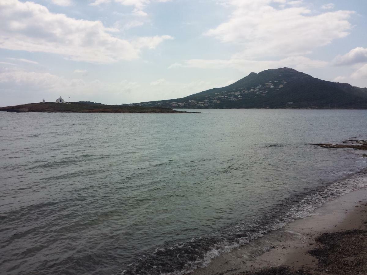 アルテミダ Smile House Near Athens Airport 300M From The Seaヴィラ エクステリア 写真
