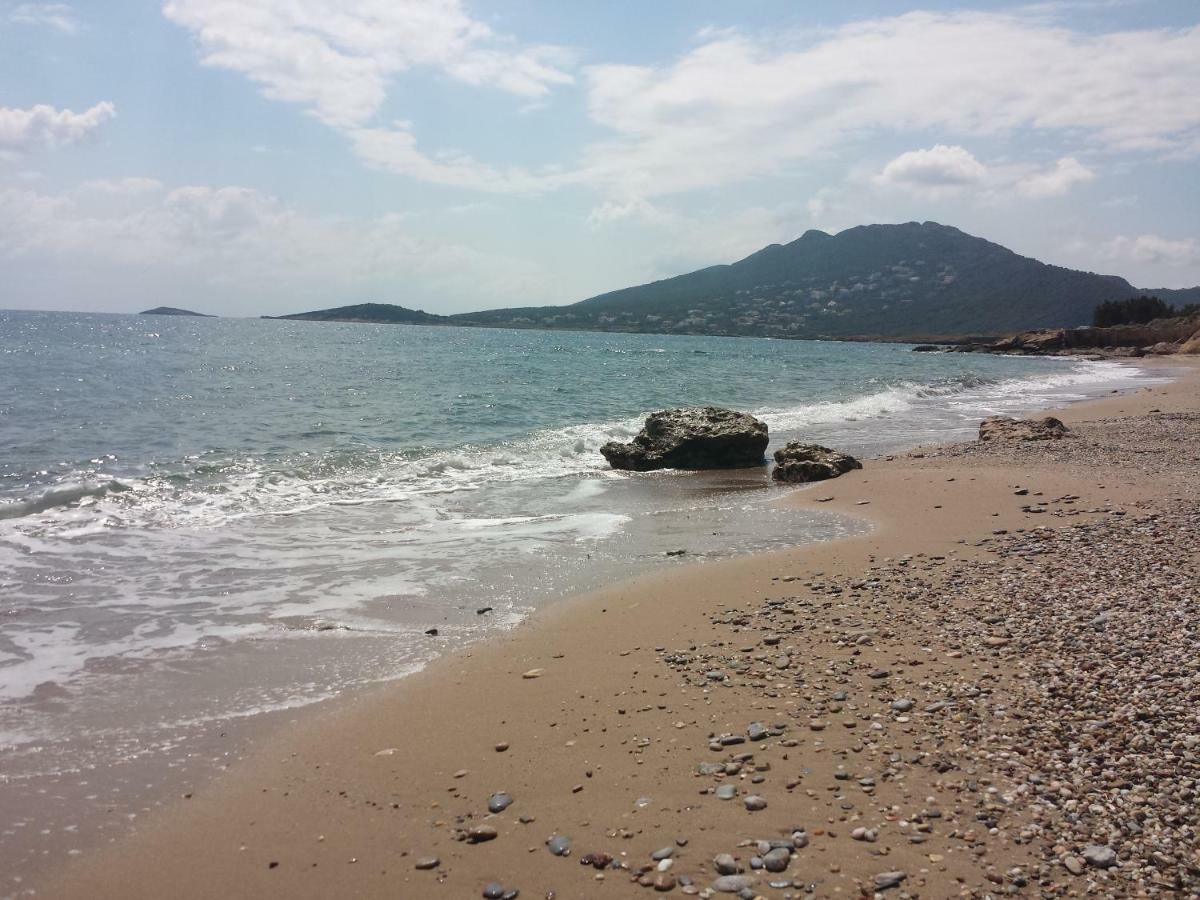 アルテミダ Smile House Near Athens Airport 300M From The Seaヴィラ エクステリア 写真