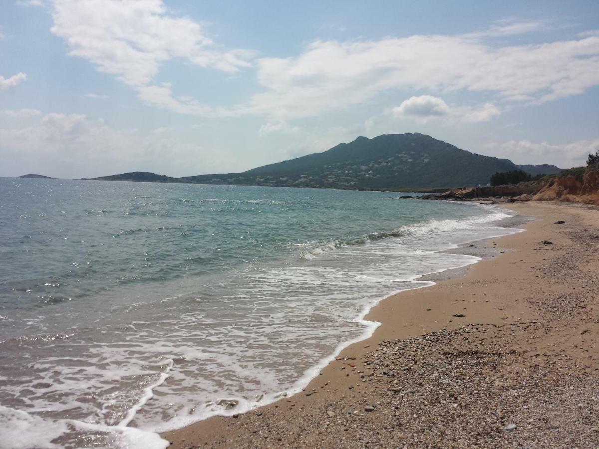 アルテミダ Smile House Near Athens Airport 300M From The Seaヴィラ エクステリア 写真